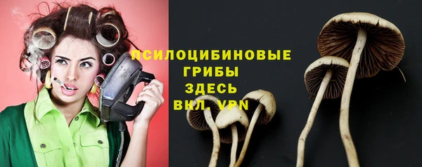 стафф Осташков