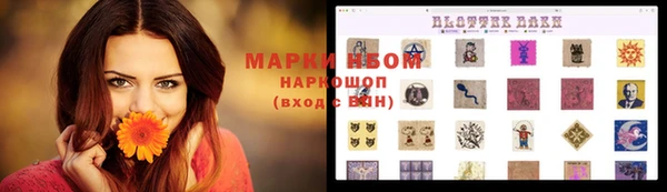 амф Аркадак