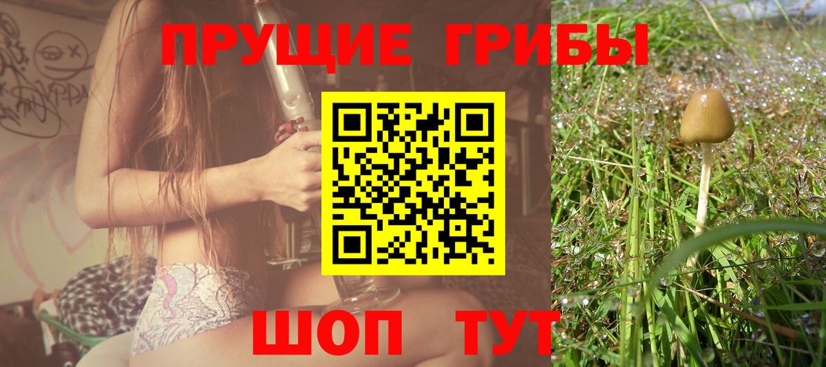 Лянтор  Псилоцибиновые грибы Magic Shrooms  Вход с VPN  Псилоцибиновые грибы Psilocybine cubensis 